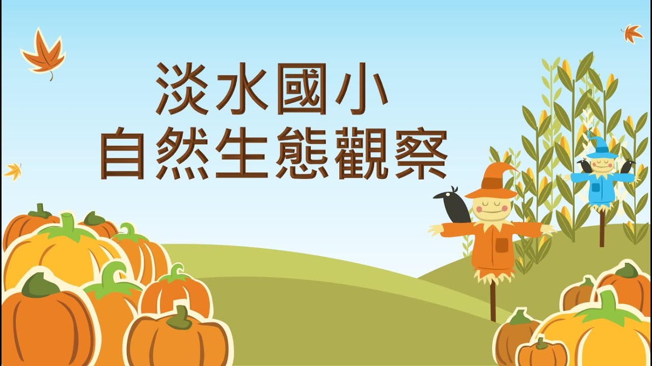 連結到淡水國小自然生態觀察